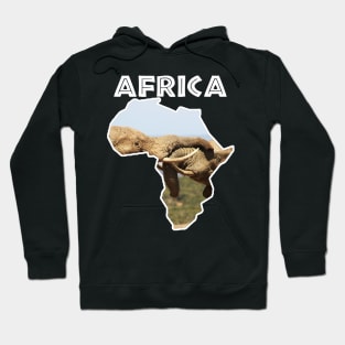 African Wildlife Continent Elephant Tussle Hoodie